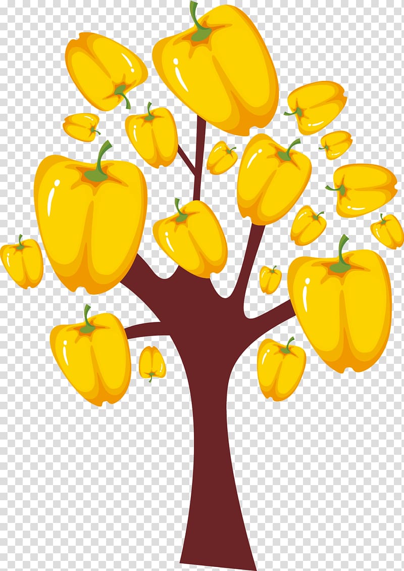 Bell pepper Habanero, Persimmon trees grow beautiful transparent background PNG clipart