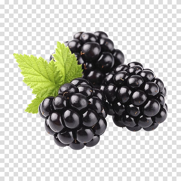 Blackberry Fruit Food, blackberry transparent background PNG clipart