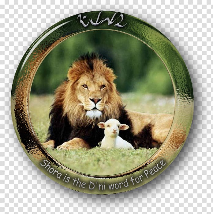 The lamb and lion Sheep Leopard Lamb and mutton, live in peace transparent background PNG clipart