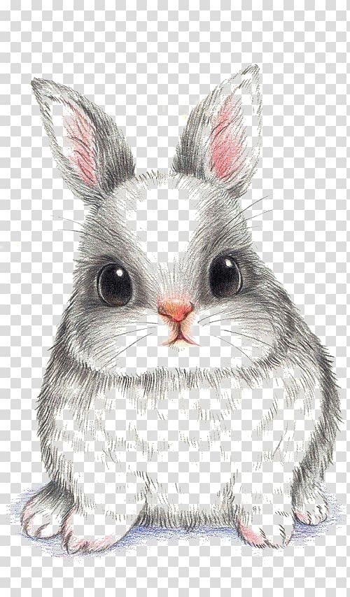 European rabbit Drawing , rabbit, black bunny painting transparent background PNG clipart