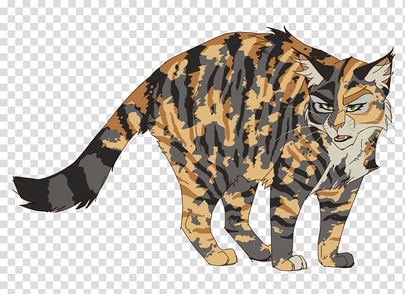 California Spangled Toyger Warriors Bengal cat Cloudtail, cats transparent background PNG clipart