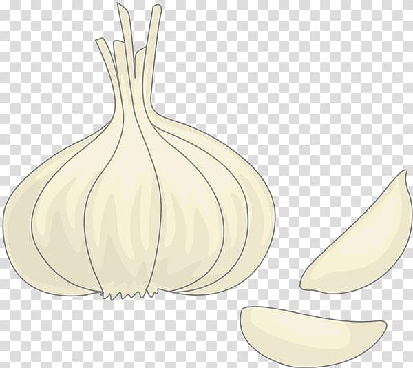 Garlic Drawing Onion, Cartoon garlic material transparent background PNG clipart