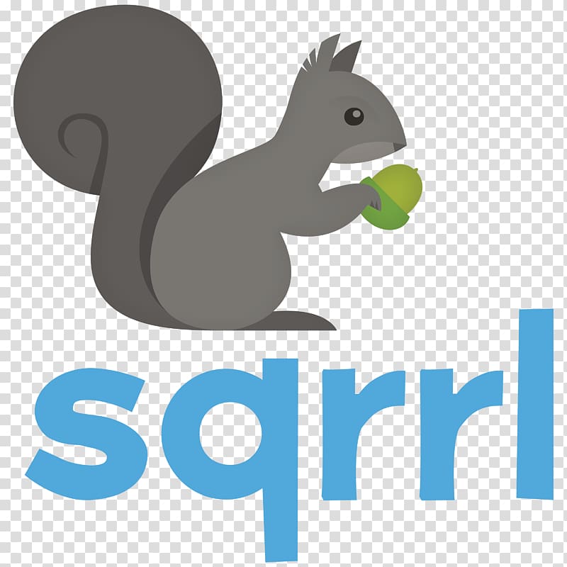 Sqrrl Big data Computer security NoSQL Apache Accumulo, grey squirrel transparent background PNG clipart