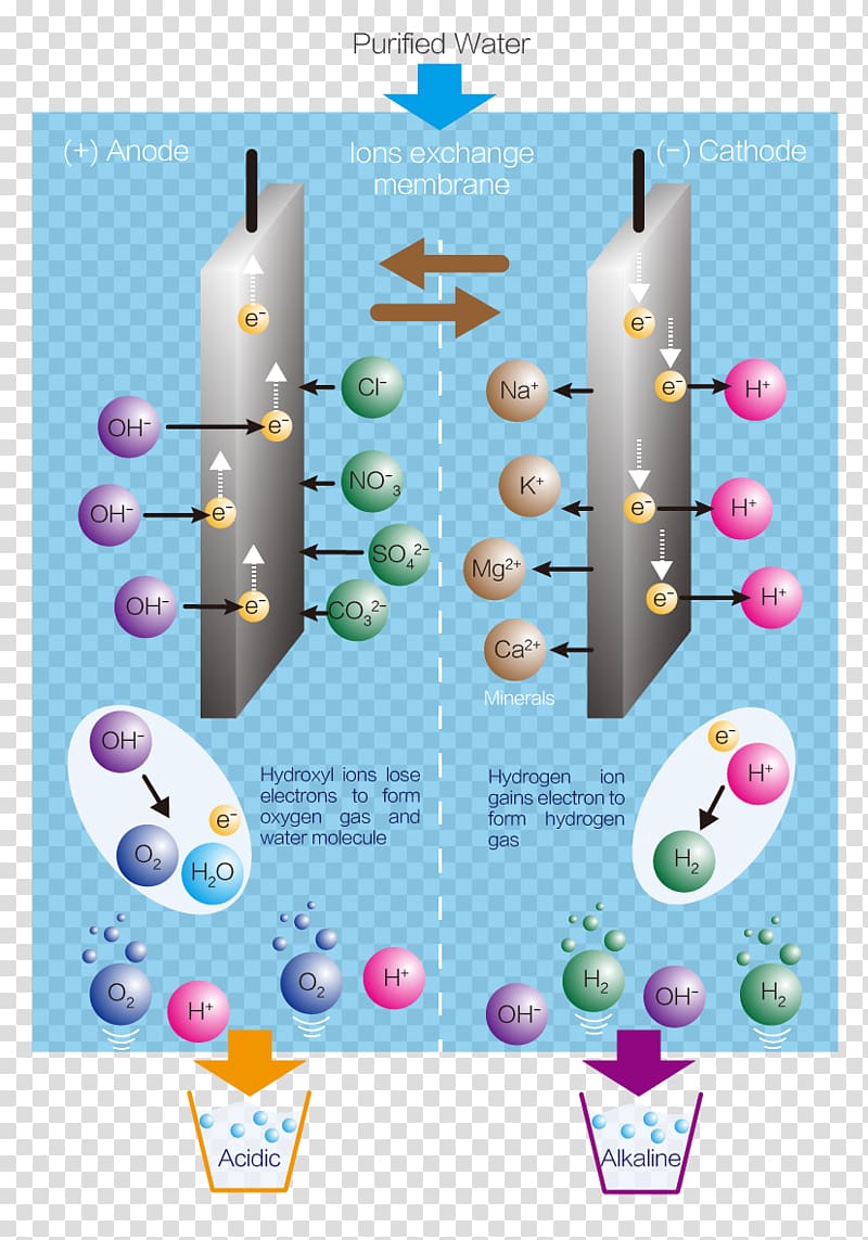 Water ionizer Electrolysis Hydrogen, purified water transparent background PNG clipart