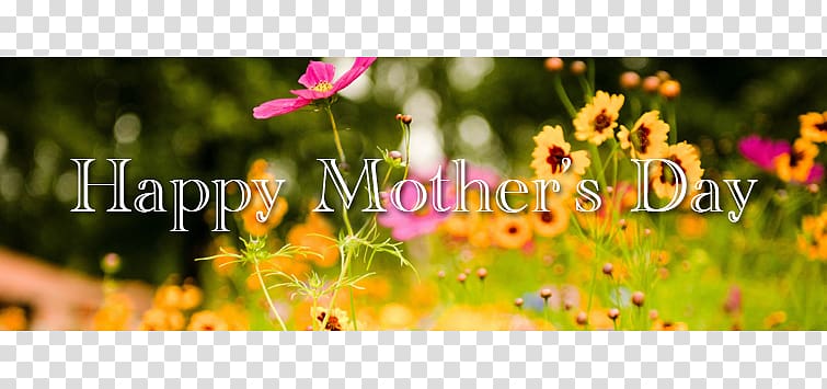 Desktop Spring Flower graph, mother\'s day specials transparent background PNG clipart