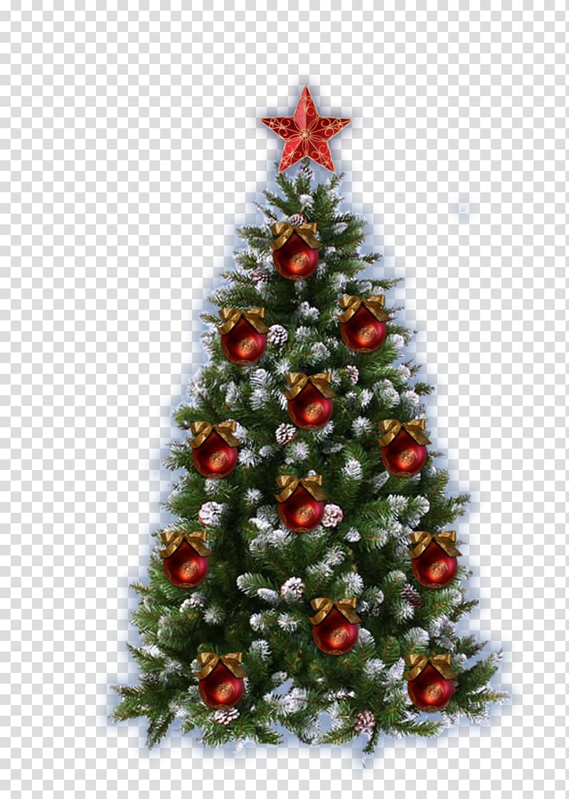 Christmas tree Frames New Year, decorate transparent background PNG clipart