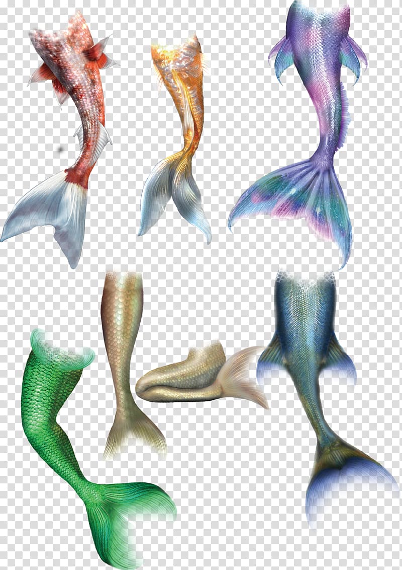 Mermaid tails illustration, Mermaid Tail Drawing, Mermaid