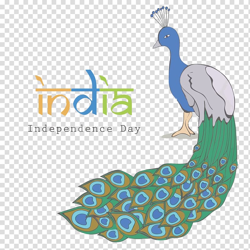 peacock with Independence day textoverlay, Indian Independence Day Asiatic peafowl Flag of India, peacock India Independence Day transparent background PNG clipart
