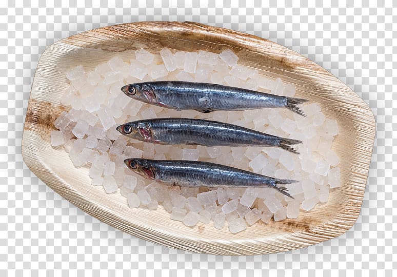 Sardine Pacific saury Fish products Kipper Oily fish, fish transparent background PNG clipart