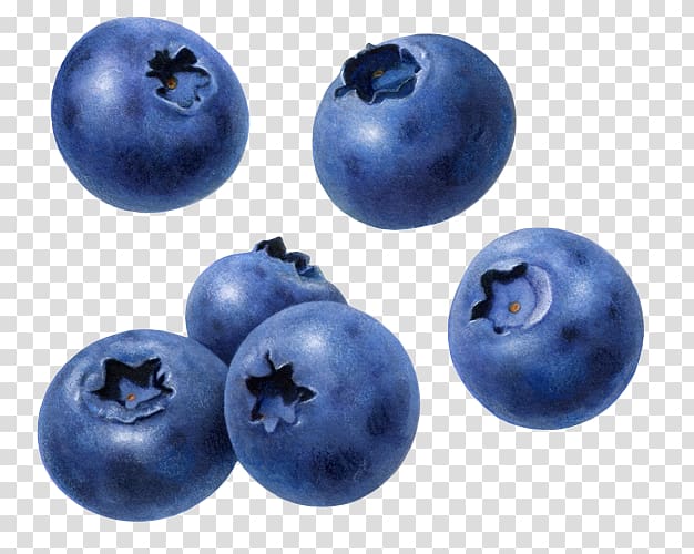blueberry fruits, Blueberry Raspberry Fruit, blueberry transparent background PNG clipart