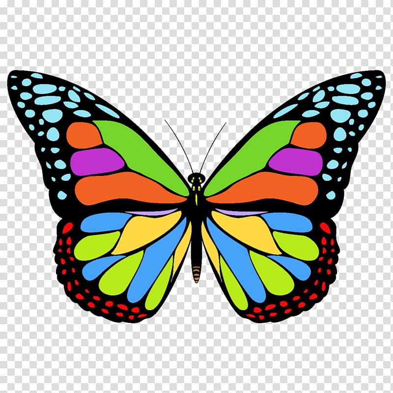 multicolored butterfly , Monarch butterfly Free content , Icon Free Butterfly transparent background PNG clipart
