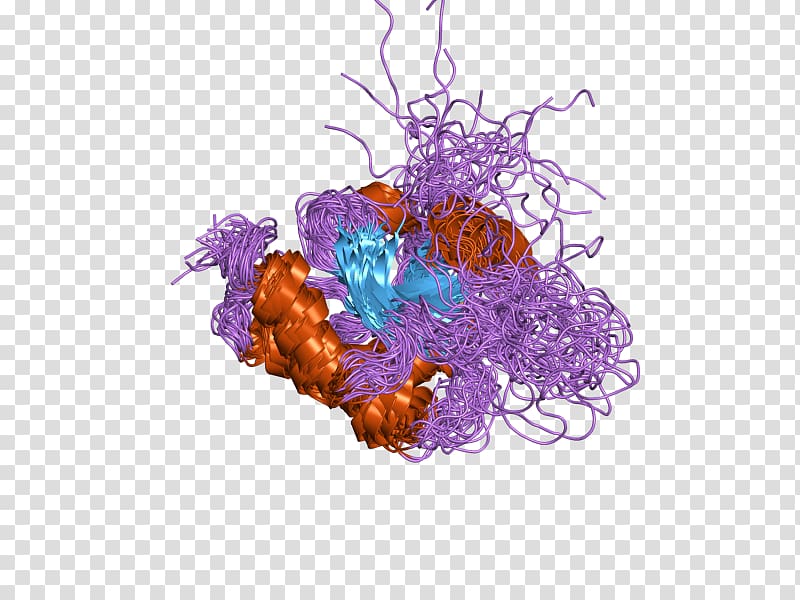 SCO1 SCO2 Protein Organism Mitochondrial disease, others transparent background PNG clipart