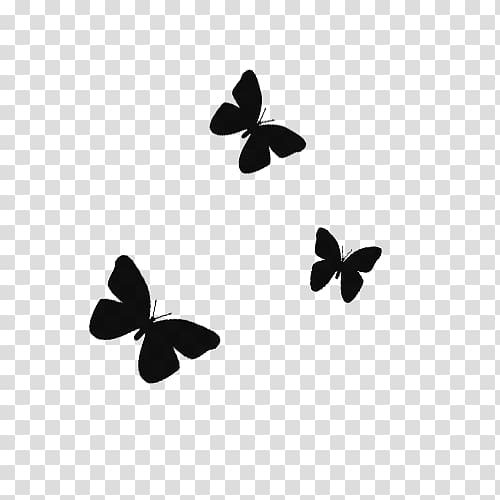 Butterfly Wallpaper Clipart Black And White
