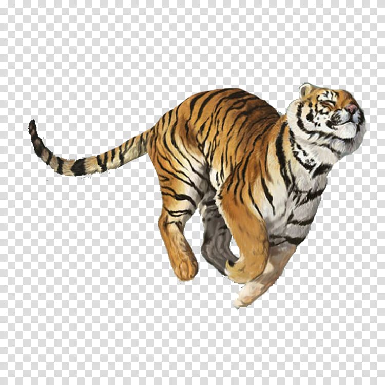 Tiger Balm Nuchal Rigidity, Tiger Creative transparent background PNG clipart