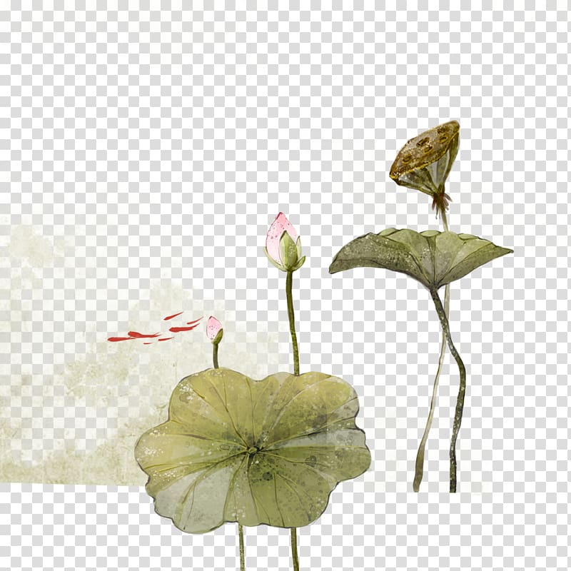 Nelumbo nucifera Ink wash painting Watercolor painting, Lotus transparent background PNG clipart