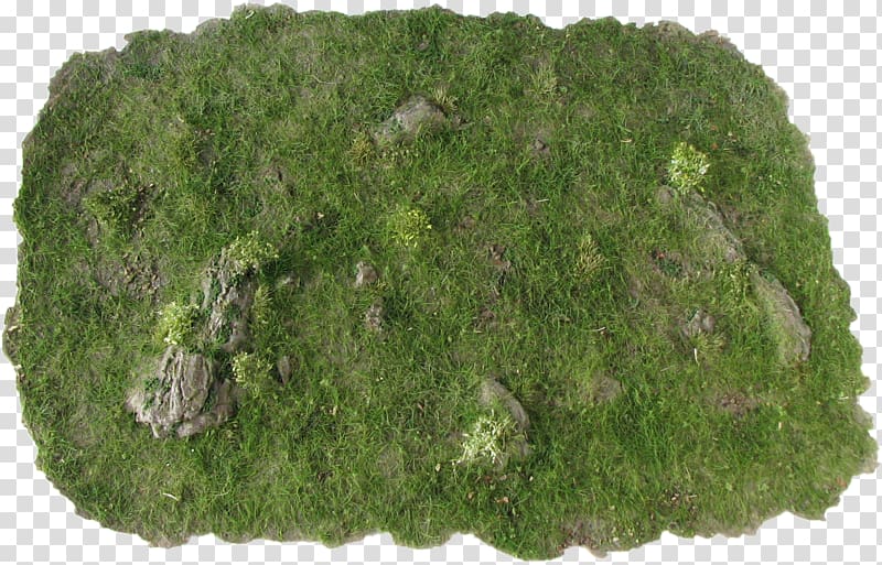 Wargaming Miniature figure Mat Rock, dry twigs transparent background PNG clipart