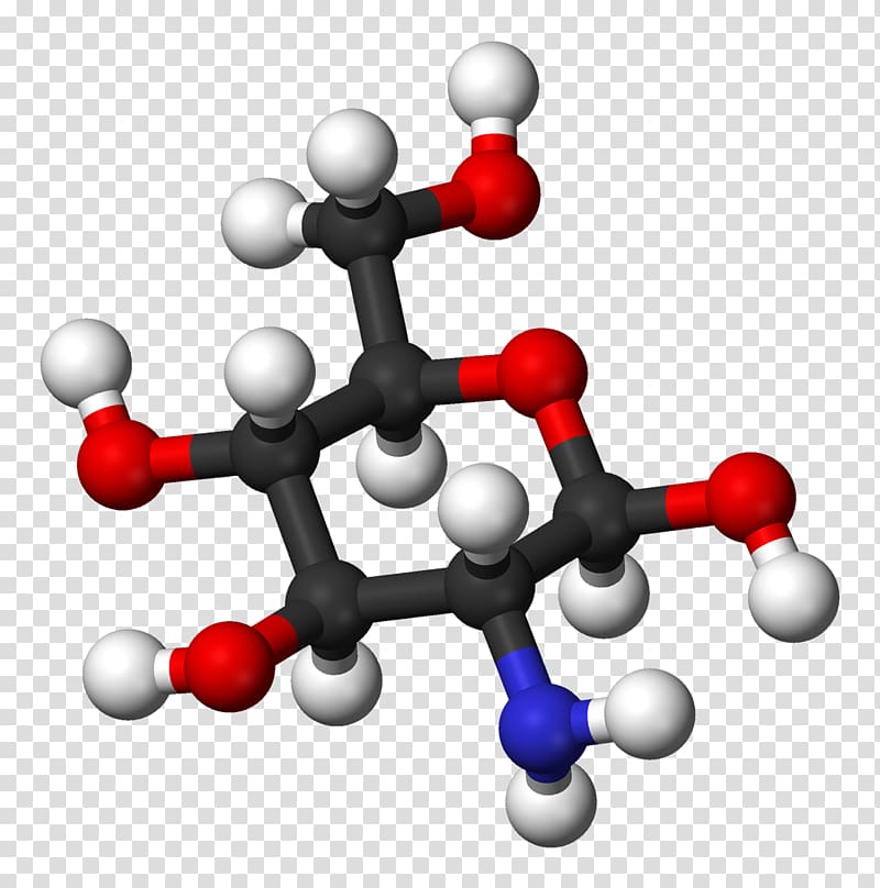 Glucosamine Health Monosaccharide Eating Organism, health transparent background PNG clipart