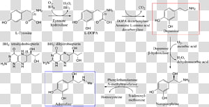 Paper Car Line Angle, car transparent background PNG clipart thumbnail