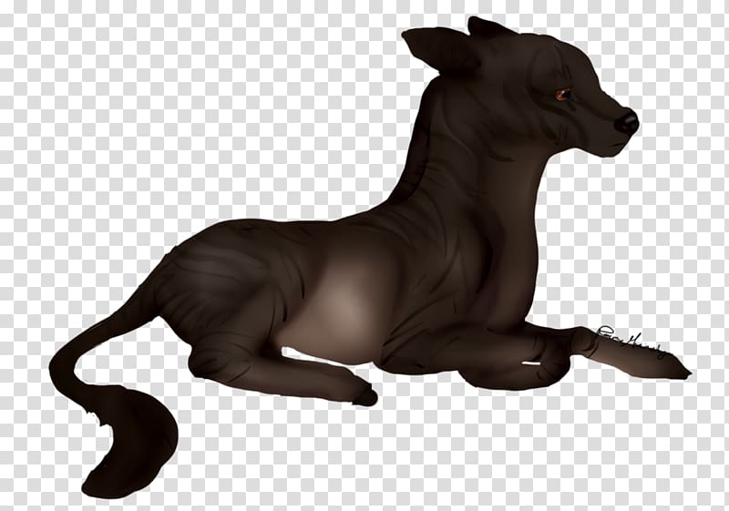 Dog breed Italian Greyhound Cat, Cat transparent background PNG clipart