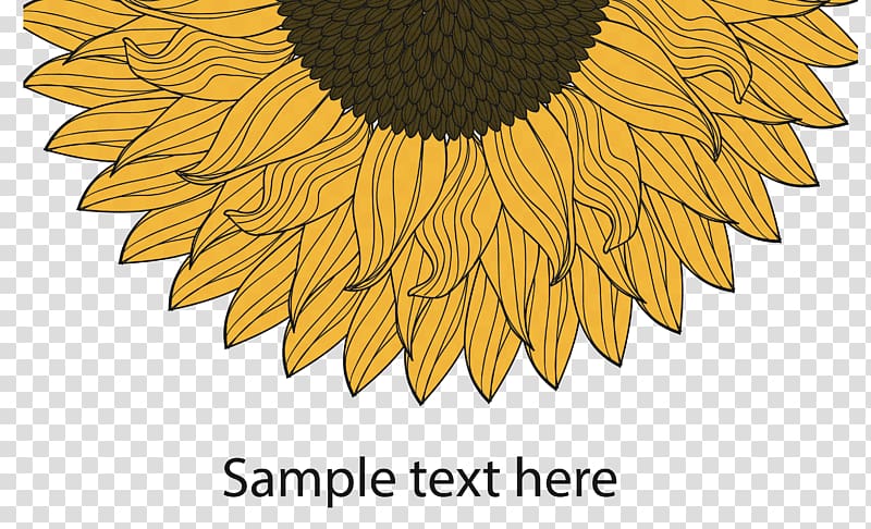 sunflower illustration, Beer Grainworks Brewing Company Brewery Printing, Sunflower transparent background PNG clipart