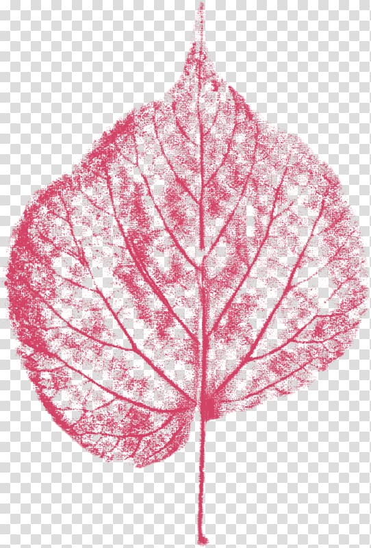 Leaf Pink RGB color model, Pink leaves transparent background PNG clipart