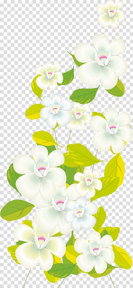 Moth orchids , others transparent background PNG clipart