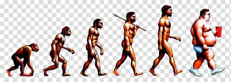 Neandertal Human evolution Homo sapiens Transitional fossil, Socially Present transparent background PNG clipart