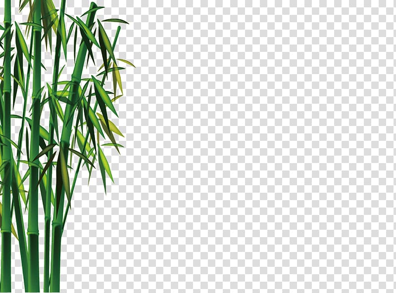 Bamboo Bamboe Gratis Euclidean , bamboo transparent background PNG clipart