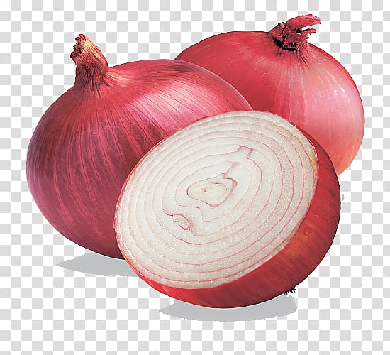 Shallot Red onion White onion Vegetable Scallion, onions transparent background PNG clipart