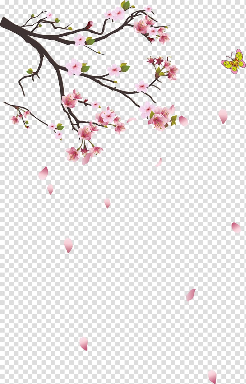 cherry blossoms illustration, Branch Tree, Cherry tree branches transparent background PNG clipart