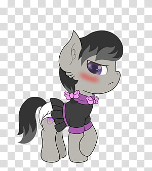 Cat Horse Dog Canidae, Cat transparent background PNG clipart thumbnail