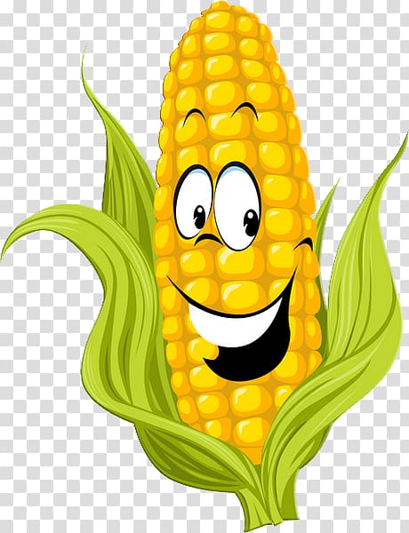 Corn on the cob Maize Sweet corn , corn cartoon transparent background PNG clipart