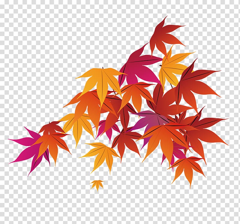 Red maple Maple leaf Autumn, Maple leaf decoration transparent background PNG clipart