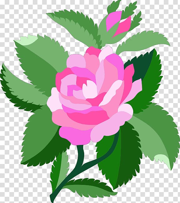 Damask rose , Baby Roses transparent background PNG clipart