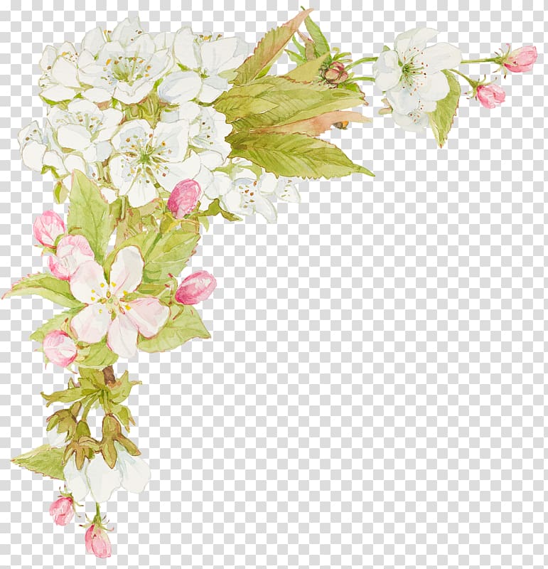 white and pink petaled flowers painting, Flower Watercolor painting Floral design, jasmine flowers transparent background PNG clipart
