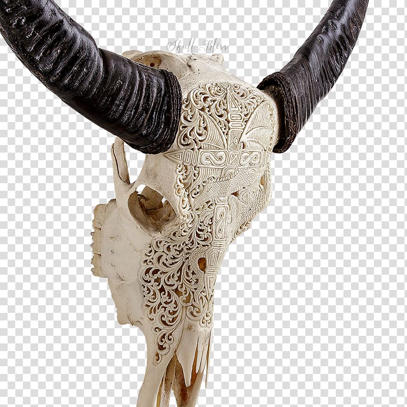 Horn Animal Skulls Antler Bone, buffalo skull transparent background PNG clipart