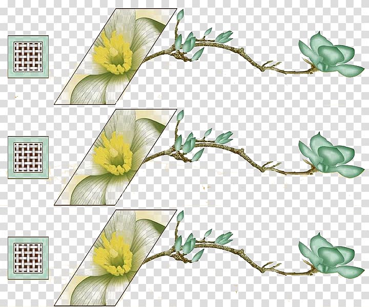 Quadrilateral Green Square, Quadrilateral box flowers ah transparent background PNG clipart