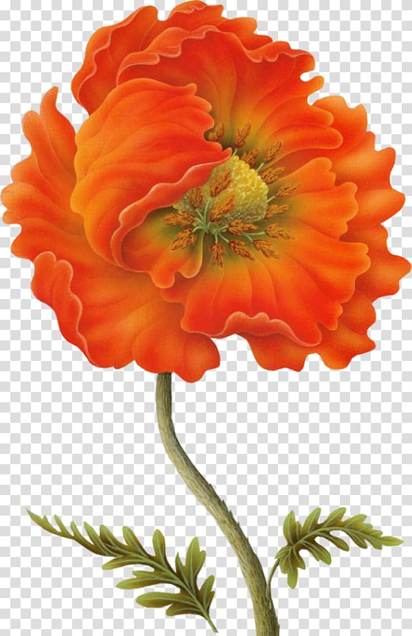 Painting Decoupage Paper Flower Drawing, poppies transparent background PNG clipart