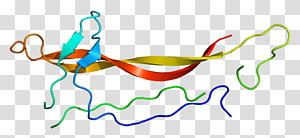 Organism , design transparent background PNG clipart thumbnail