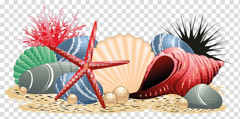 Seashell Beach Starfish, conch transparent background PNG clipart