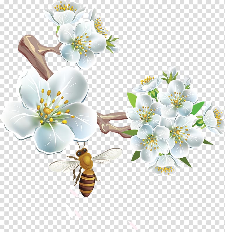 Honey bee Flower , Ew transparent background PNG clipart