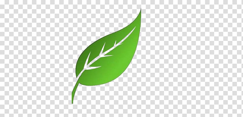 Landscaping Raymond Terrace Dronacharya Group of Institution, Leaf Water transparent background PNG clipart