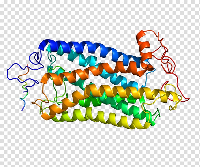 Tachykinin receptor 1 Tachykinin peptides NK1 receptor antagonist, others transparent background PNG clipart