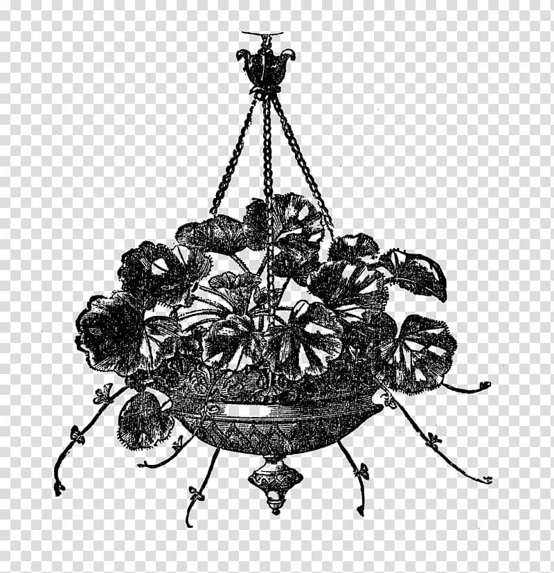 Victorian era Black and white , hanging flower transparent background PNG clipart