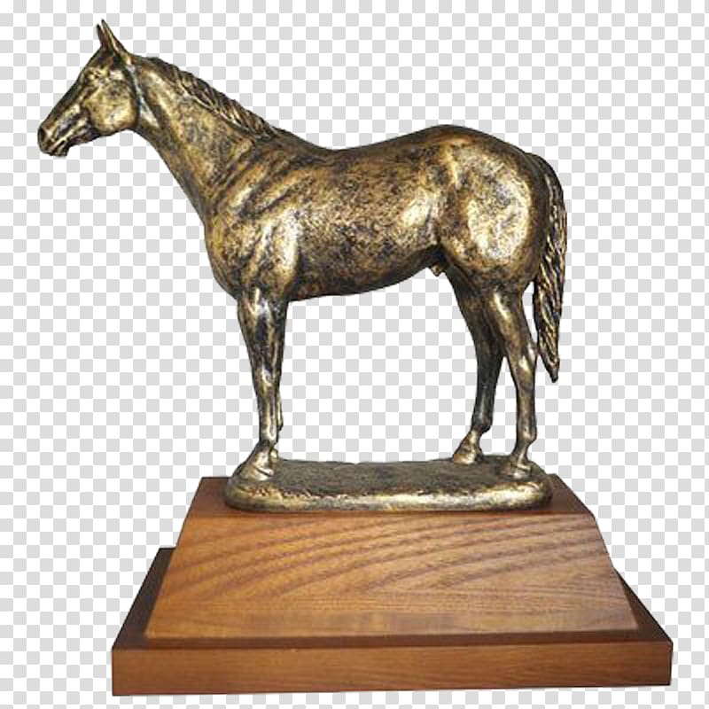 Horse Trophy Stallion Award Mare, horse transparent background PNG clipart