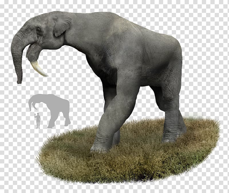 Deinotherium (white background)