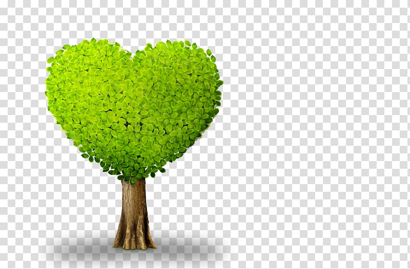 Plant Tree Heart, Heart-shaped tree transparent background PNG clipart