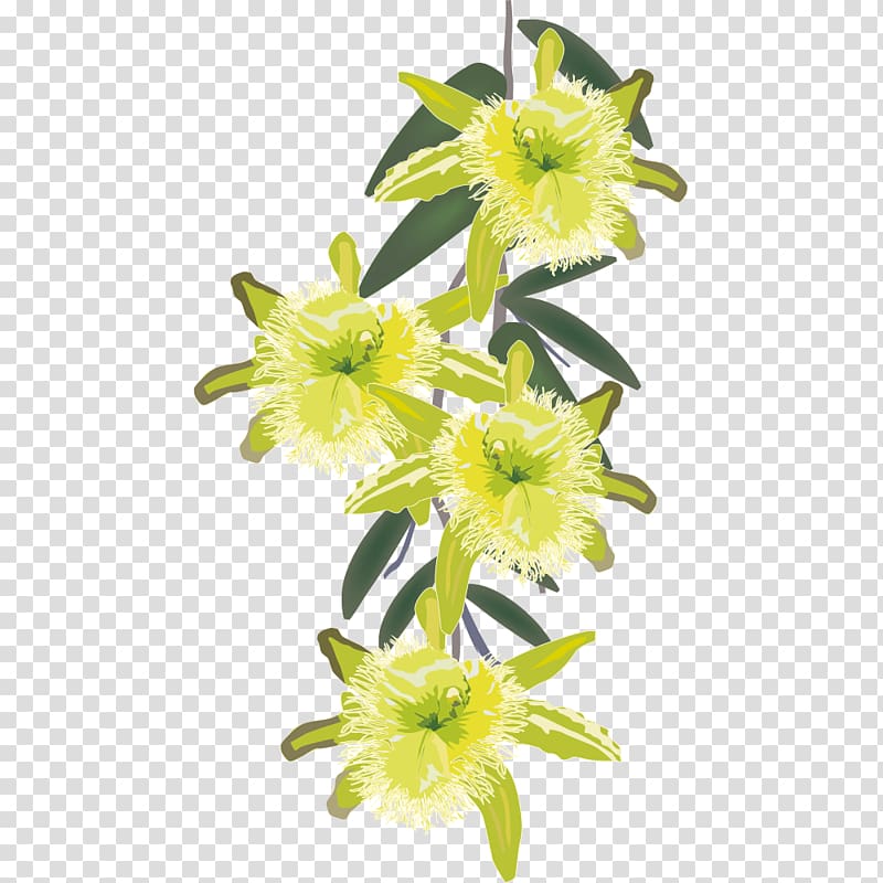 Cut flowers Euclidean Illustration, Hand painted plants transparent background PNG clipart