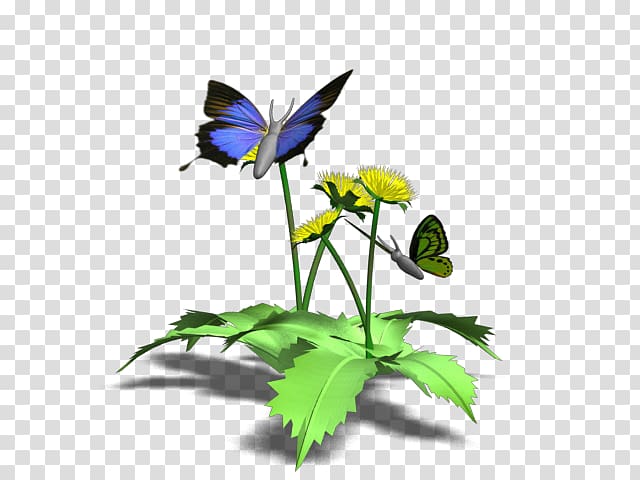 Blog Flower Animaatio, fluttering butterflies transparent background PNG clipart