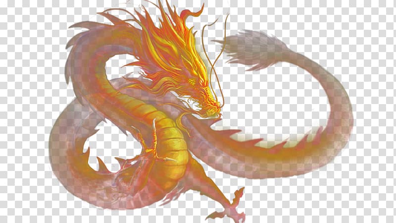 golden dragon transparent background PNG clipart